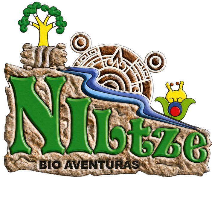 logo sin fondo